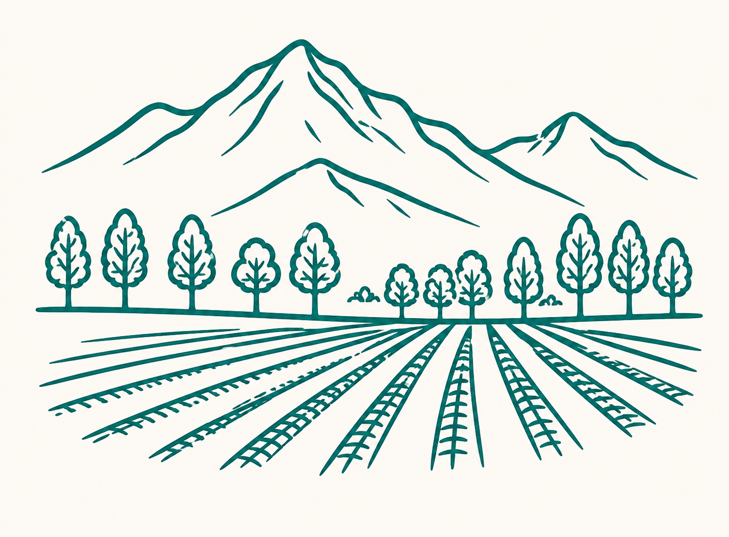 Valle de Curicó
